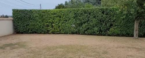 VVE Jardins, c'est aussi l'entretien de vos espaces verts. 